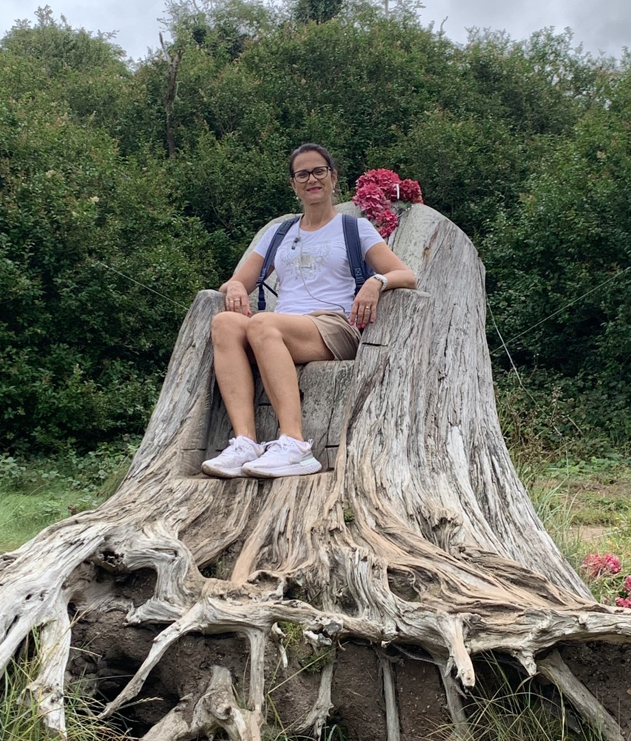 HikingNetti auf einem Baumstumpf-Thron in der Bretagne