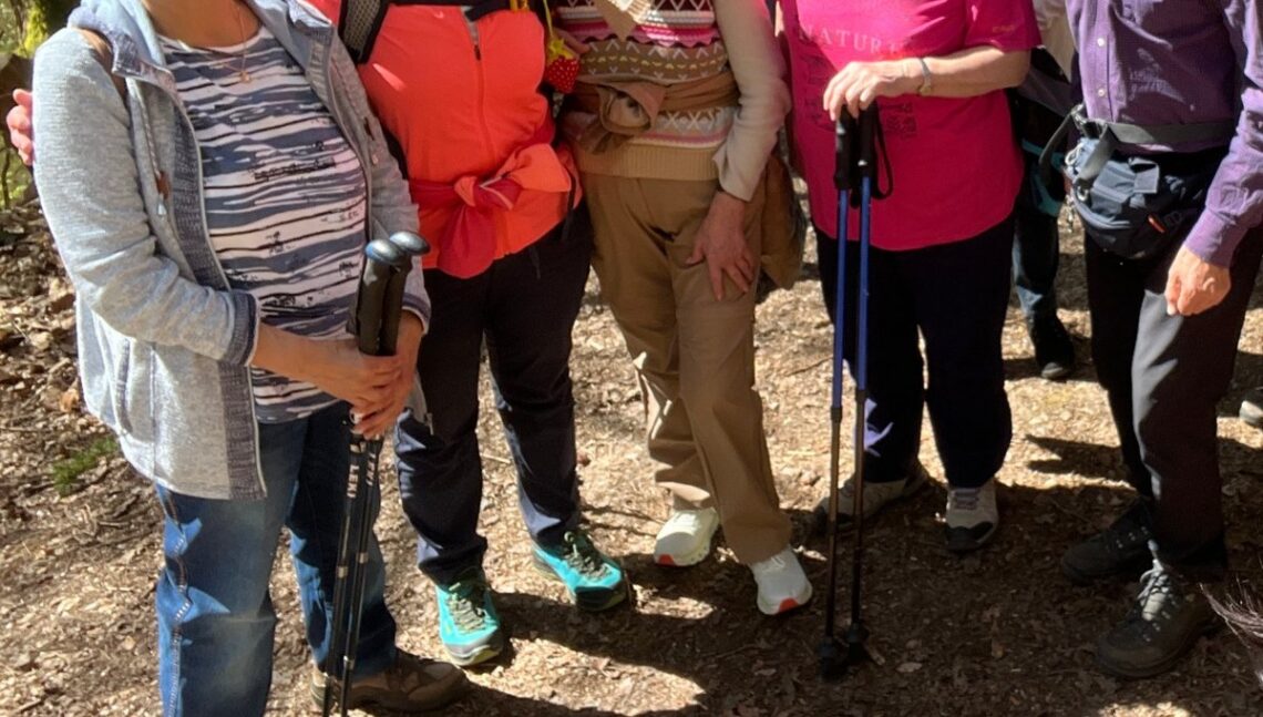 Wandergruppe mit Wanderstöcken im Wald